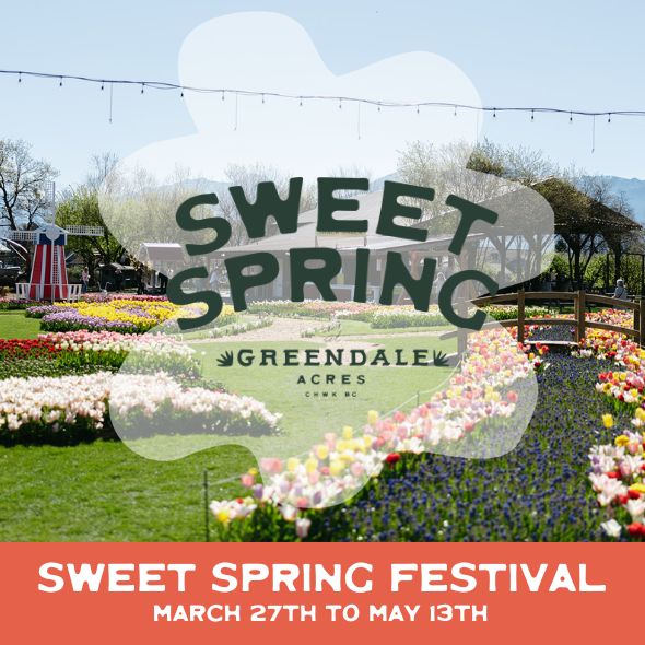 2025 Spring Flower Festival Weekday Admission
