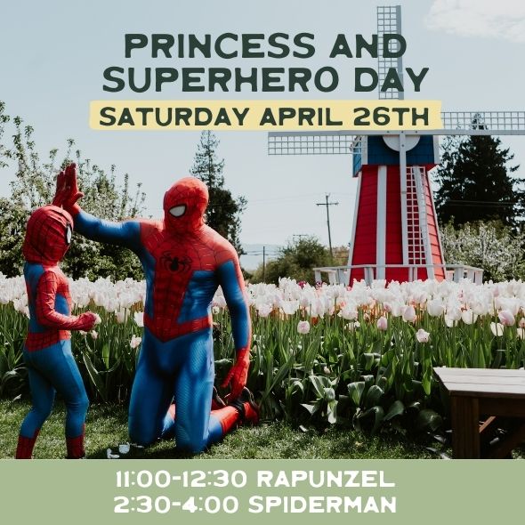 Fairytale & Superhero Day 2025