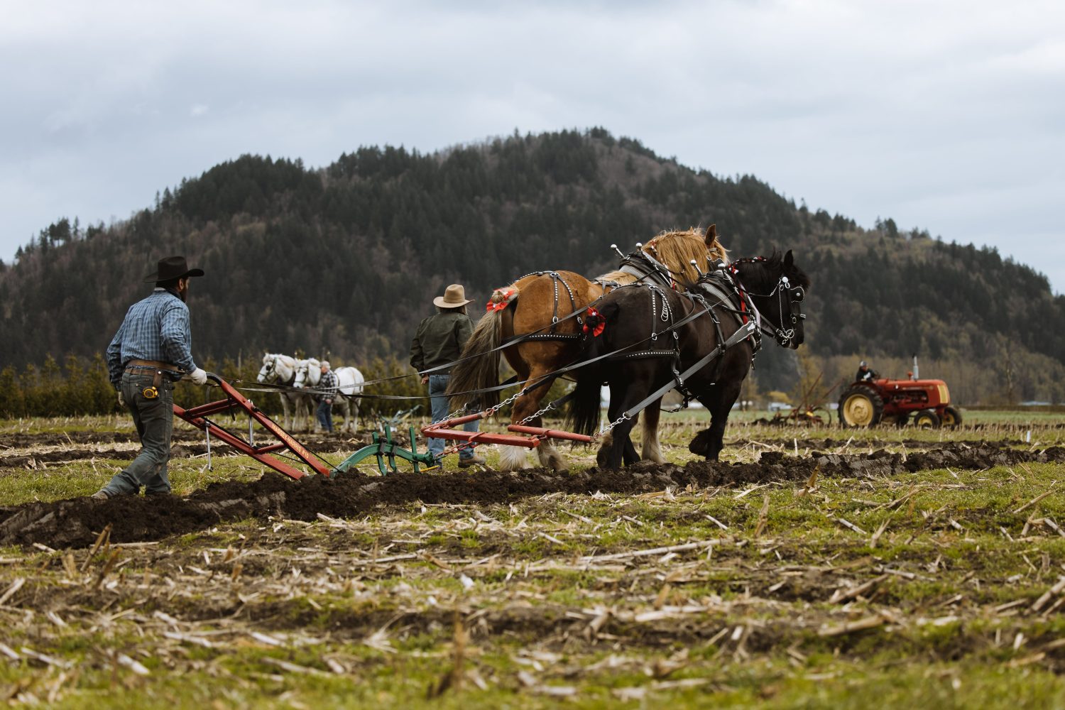 GREENDALE ACRES IN CHILLIWACK TO HOST MULTIPLE EVENTS AS 2024 SEASON KICKS OFF
