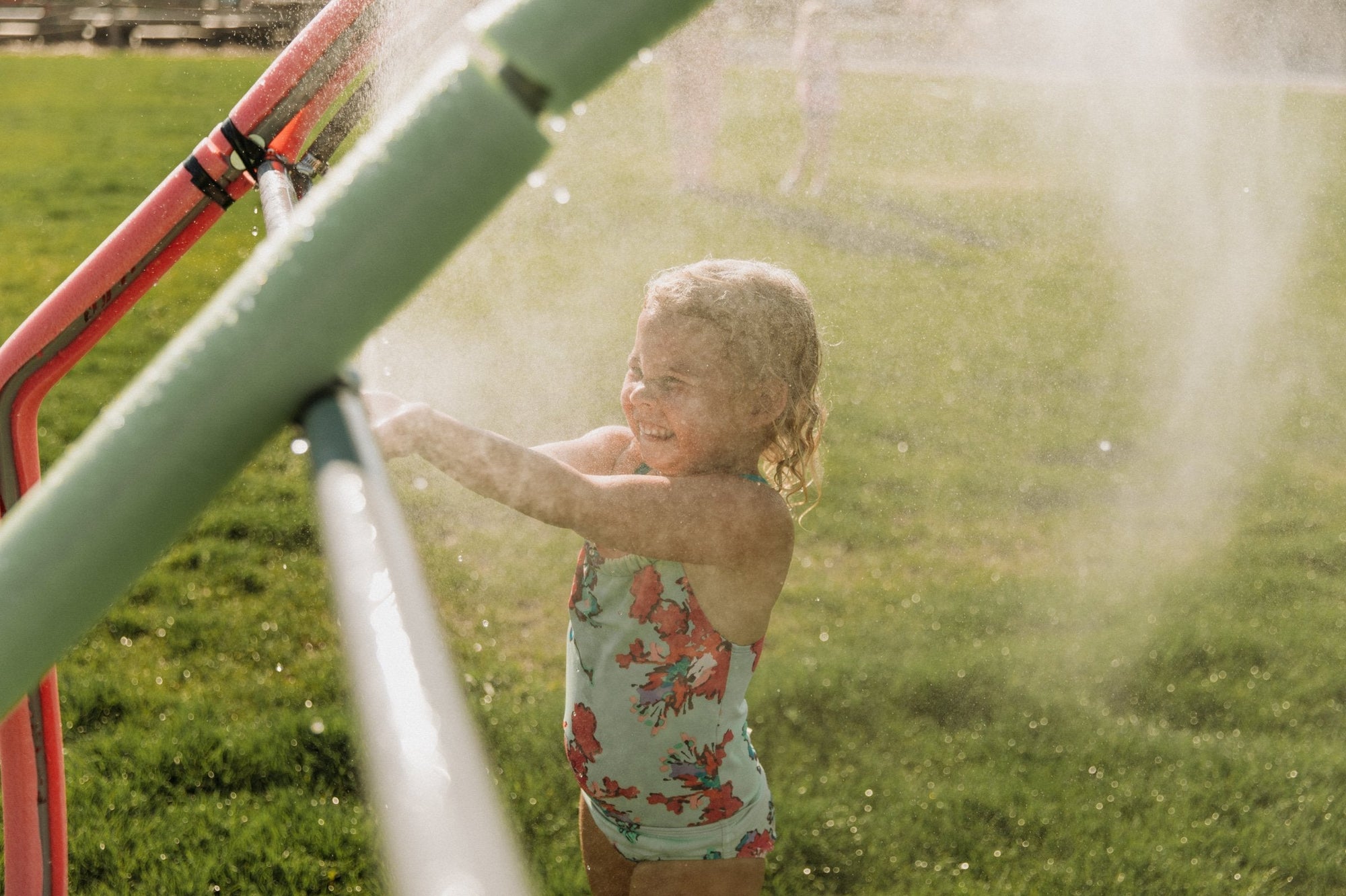 GREENDALE ACRES IN THE NEWS: SUMMER 2024 MEDIA FEATURES & FRASER VALLEY FARM FUN
