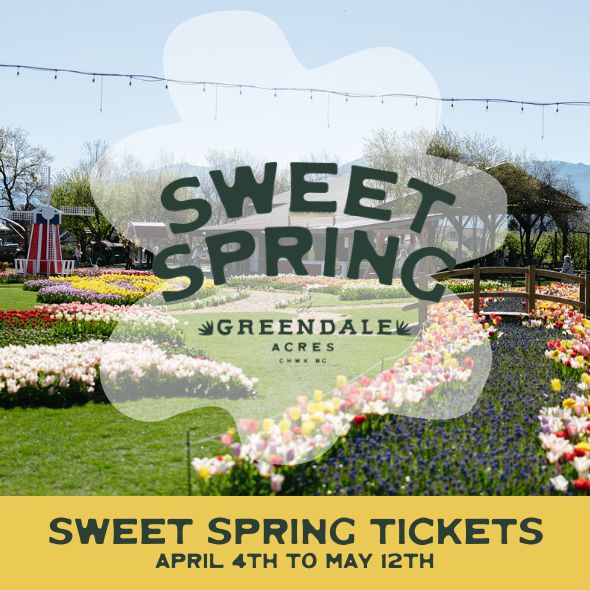 Sweet Spring Flower and Baby Animal Festival